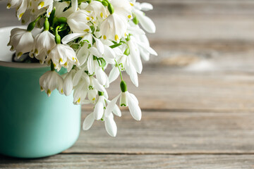 Bouquet of snowdrops on a blurred background.