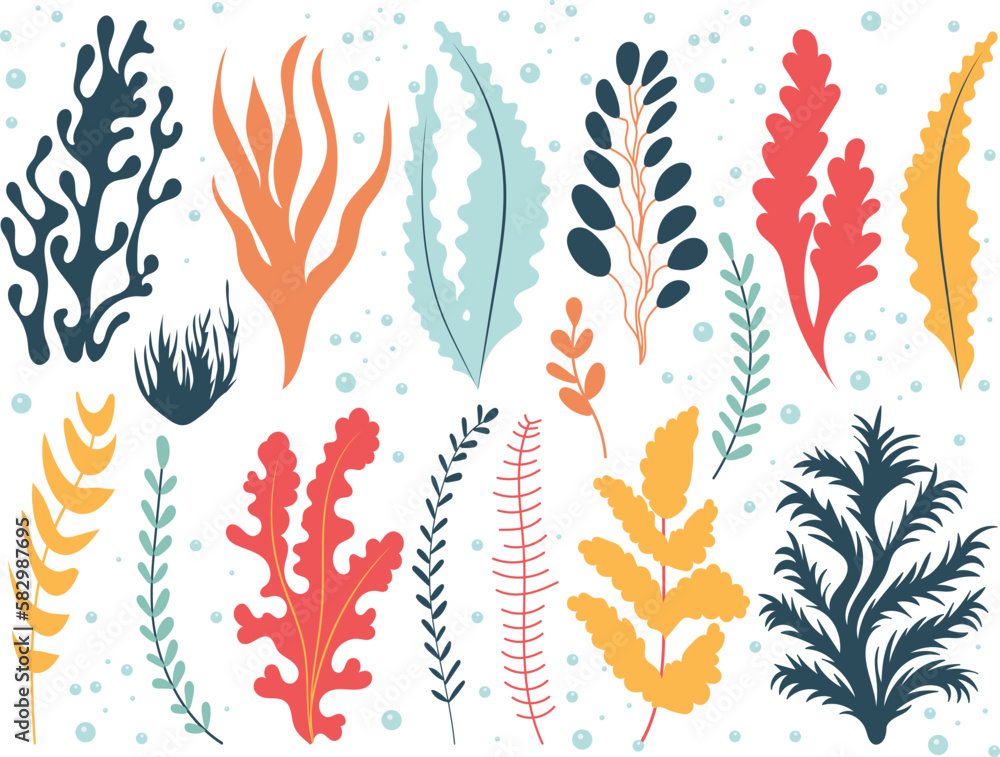 Wall mural seaweed set in flat style vector