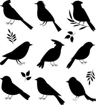 set of birds black silhouette vector