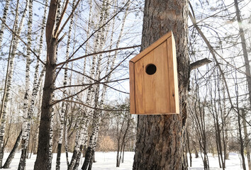 Wooden birdhouse on a tree in the forest