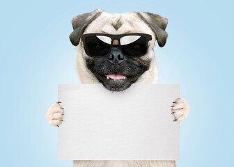 Funny cool pug hipster dog with trendy sunglasses shows white card with free copy space for design and text. Animals creative idea - obrazy, fototapety, plakaty