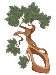 Twisted tree trunk with leaves. Bonsai. Decorative hand drawn design element. EPS10 vector illustration