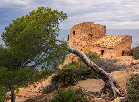 The tower of Cala Basset (Torre de Cala en Basset) is a watchtower from the late 16th century, located in the mountains of Tramuntana Majorca Spain