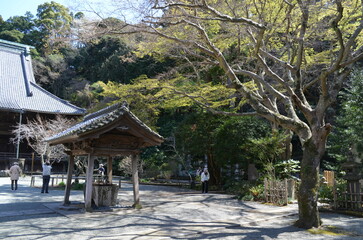 妙本寺境内の景色