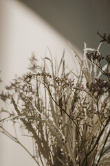 Dried grass bouquet. Shadows on the wall. Silhouette in sun light