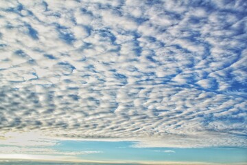 White light soft clouds floating in blue sky. Nature morning landscape background. Clear spring wind. Bright summer day. Winter calm air skyscape. Abstract panorama. Change climate. Low angle view
