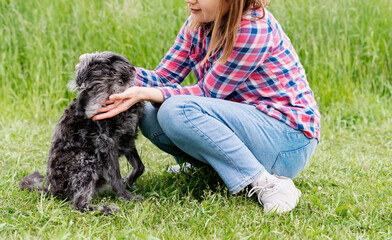 Young woman in pink plaid shirt hugging and petting mixed breed gray fluffy senior dog bedlington...