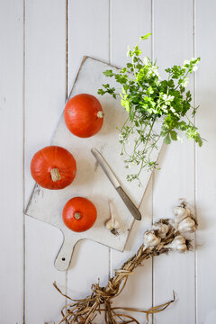 Red kuri squashes, garlic and cilantro lying on white cutting board