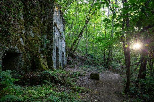Mossy walls of Etruscan necropolis of San Guilano amidst trees in Lazio, Italy