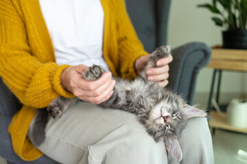Woman playing with pet cat at home