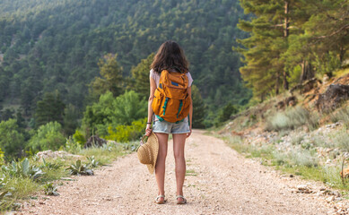 Naklejka premium girl with a backpack enjoys the journey. the traveler stands on the road in the forest against the backdrop of mountains.