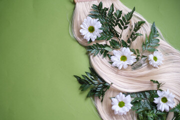 Fototapeta na wymiar sustainable and cruelty-free products nourish and revitalize your hair and scalp, leaving you with healthy, radiant locks. Nature's beauty of hair adorned with ferns and daisies.