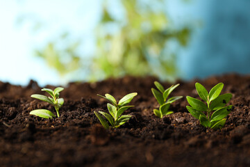 Earth Day, Environment concept and Eco concept