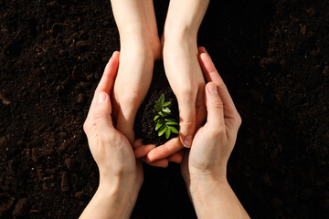 Earth Day, Environment concept and Eco concept