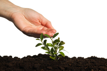 Earth Day, Environment and Eco concept, isolated on white background