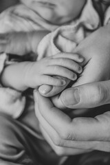 Hands of father, mother, hold tiny newborn. Care, family safety and protection child. Concept of family love. Holding hands of mom, dad and baby closeup. Parents with child. Black and white photo.