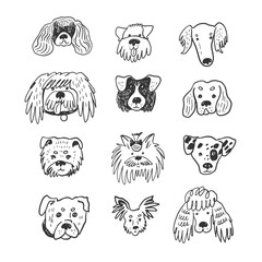 Obraz premium Dog funny animal face line vector line illustrations set.