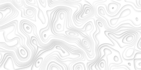 Obraz premium Abstract wavy line 3d paper cut white background. Topographic canyon geometric map relief texture with curved layers and shadow. Abstract realistic papercut decoration textured with wavy layers 