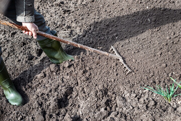 A man rakes the soil in the spring. Close-up. A man levels the ground with a rake in the garden on...