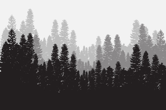 Tree silhouette background with tall and small trees. Forest silhouette illustration.