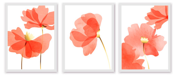 Set of botanical art posters, prints. Transparent red poppies on white background.