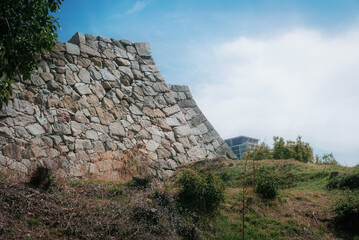 兵庫県・明石城跡、石垣と3月の雪柳の自然樹形