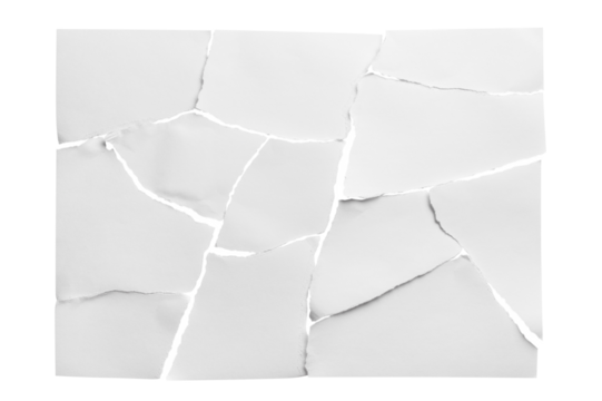 Rectangular sheet of paper torn into pieces, cut out