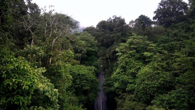 Scenic Road deep in the jungle with Mountain Landscape With Dense Forest Jungle In Central Sumbawa Island, Indonesia. Remote Transportation Logistics Delivery Location Aerial Drone 4k