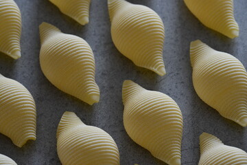 italian Conchiglioni pasta type