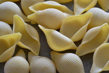 italian Conchiglioni pasta type