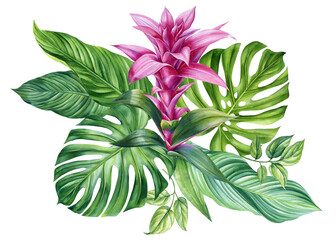 Palm leaf, pink flower on isolated background, hand drawn watercolor painting. Green tropic composition, greeting card