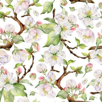 Hand drawn watercolor apple blossom, white and red flowers and green leaves. Seamless pattern. Isolated object on white background. Design for wall art, wedding, print, fabric, cover, card.