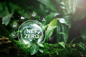Net zero and carbon neutral concept.Globe Glass with Net zero icons In Green Forest With Sunlight. net zero greenhouse gas emissions target Climate neutral long term strategy on a green background.