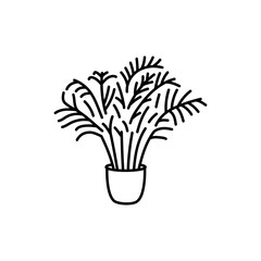Hamedorrhoea houseplant black line icon. Indoor decorative plant.