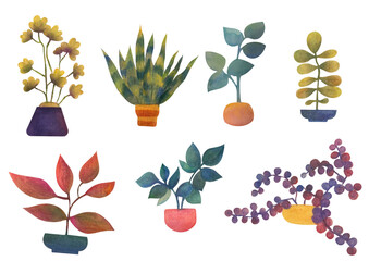 a set with watercolor house plants in pots. Clipart Stickers on a transparent background for growing flowers, gardening