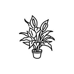 Spathiphyllum houseplant black line icon. Indoor decorative plant.