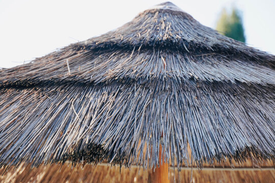 Umbrella made of logs. Summer vacation background. Space for text.