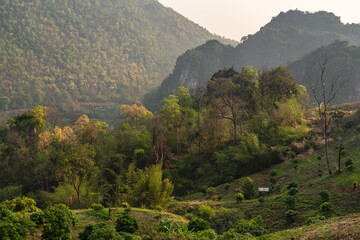 Scenic rural landscape with tropical forest on karst mountain background in early morning light, Chiang Dao valley, Chiang Mai, Thailand
