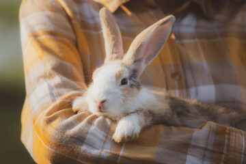 relationships of cheerful rabbit and happy young human girl, Asian woman holding and carrying cute rabbit with tenderness and love. Friendship with cute easter bunny. Happy of Easter's Day