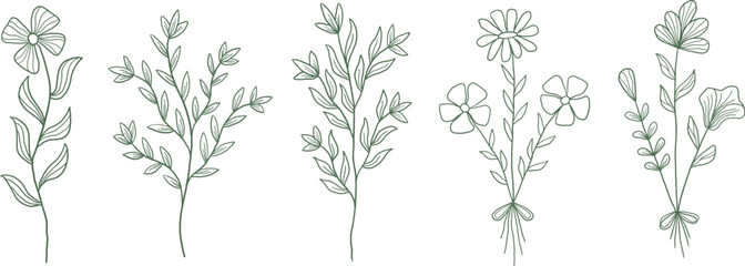 Botanical Line Art