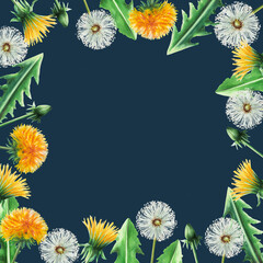 Watercolor frame of dandelions flowers and green leaves. Hand painting clipart botanical meadow illustration on a white isolated background. For designers, decoration, postcards, wrapping paper