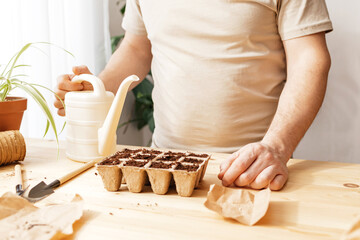 Man planting tomato seeds for seedlings at home. The man's hands put the seed into a hole in the ground. Gardening in the apartment