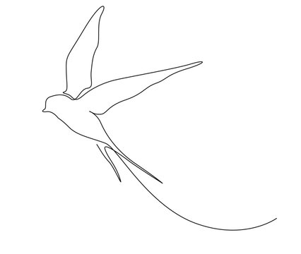 recommend clip art: Continuous one line drawing of flying swallow bird. Simple barn swallow outline vector illustration.