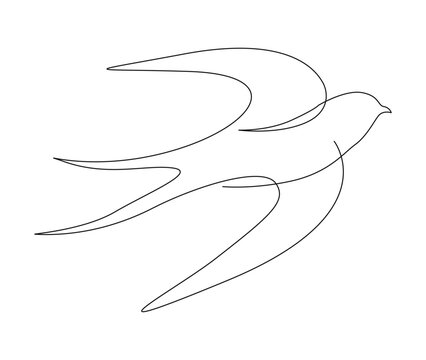 recommend clip art: Continuous one line drawing of flying swallow bird. Simple barn swallow outline vector illustration.