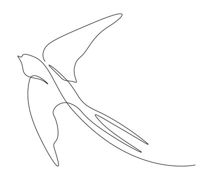 recommend clip art: Continuous one line drawing of flying swallow bird. Simple barn swallow outline vector illustration.