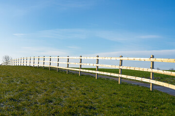 Fototapeta na wymiar Horse meadow with a road next to it