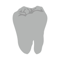 Vector tooth icon