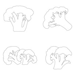 broccoli icon vector