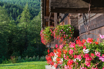 Fototapeta na wymiar Flowers in bloom. Traditional mountain house in the woods with flowered balcony, European Alps. Facade of a chalet decorated with red geraniums. Selective focus and copy space
