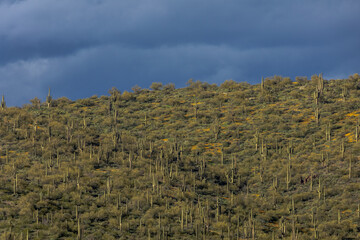 High Desert Mountain Ridgeline